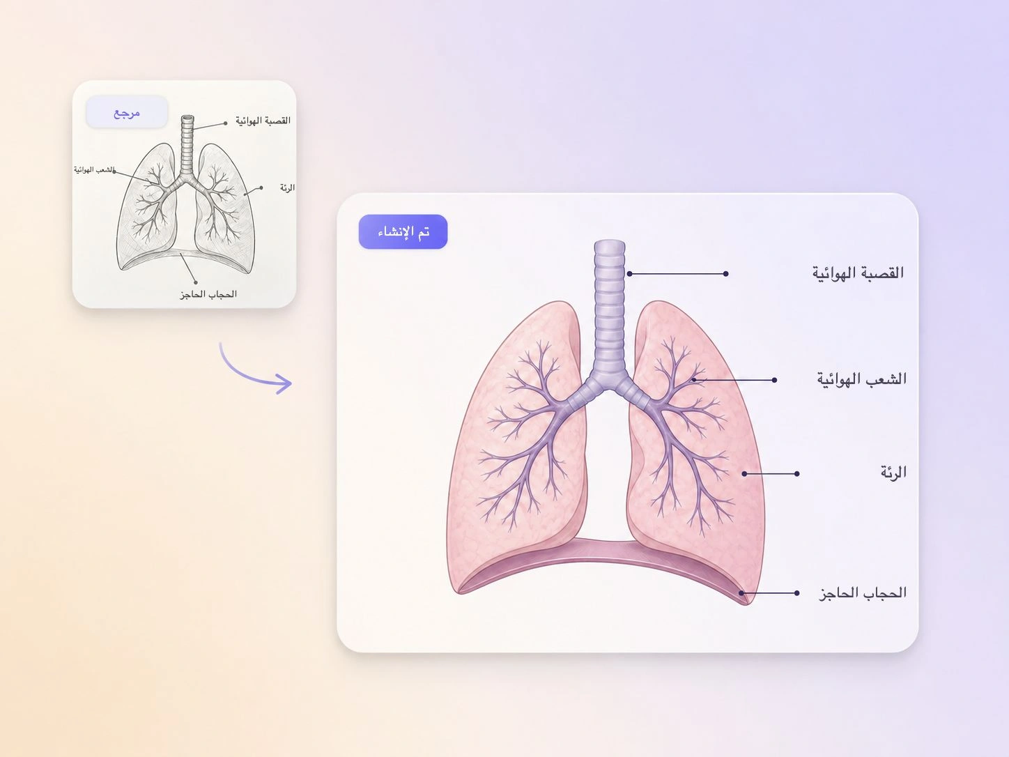إنشاء فيديوهات شرح للرعاية الصحية بالاعتماد على مراجع مع Pexo