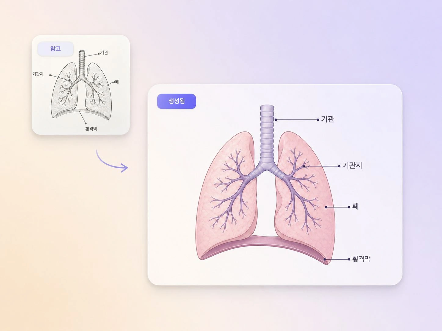 Pexo를 활용한 참고 자료 기반 의료 설명 영상 제작
