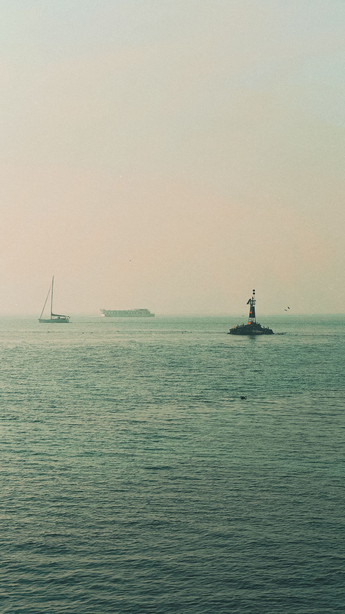 Misty sea as a trailer-premise reference