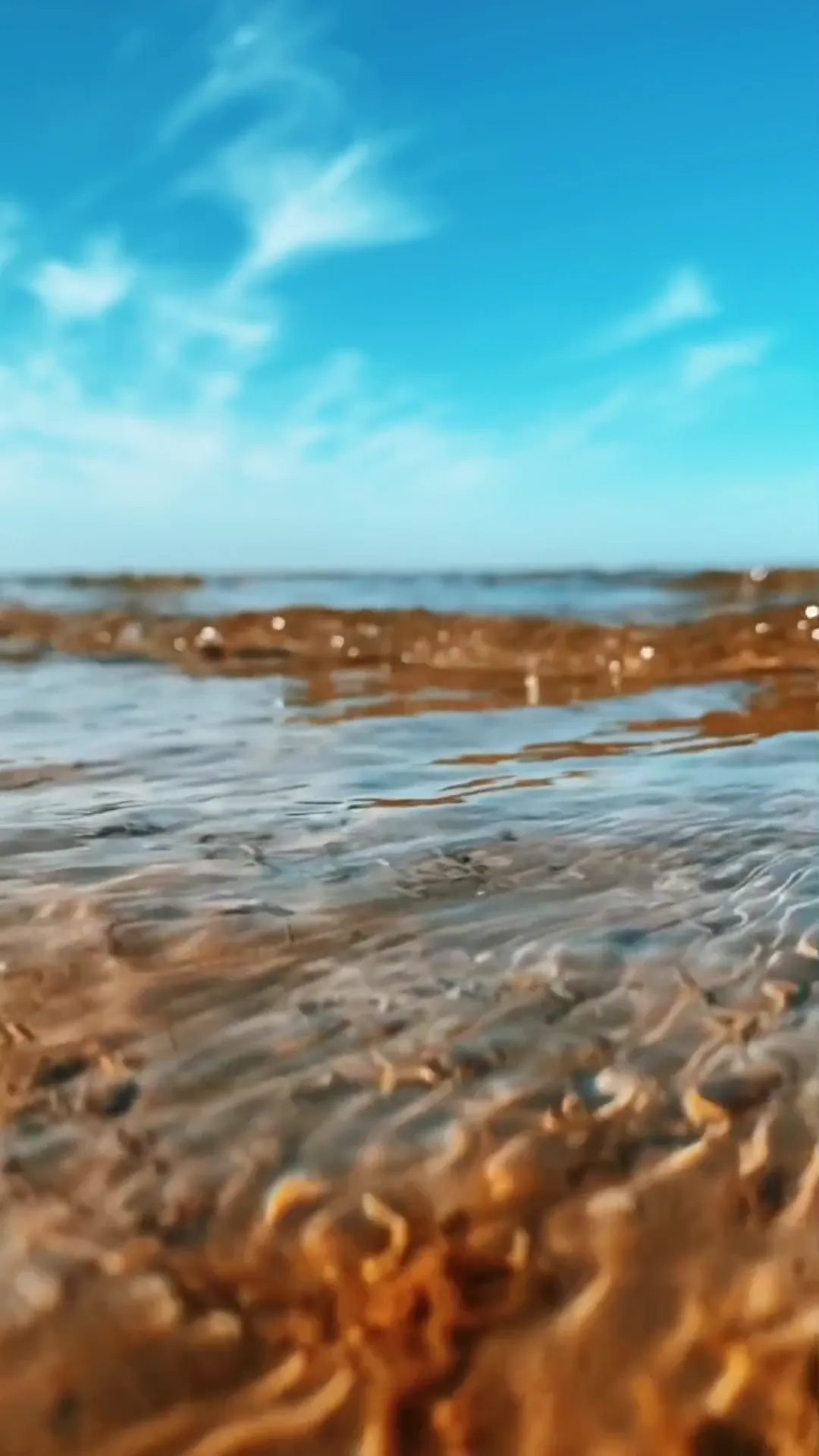 AI Ocean Videos — Waves, Beaches & More