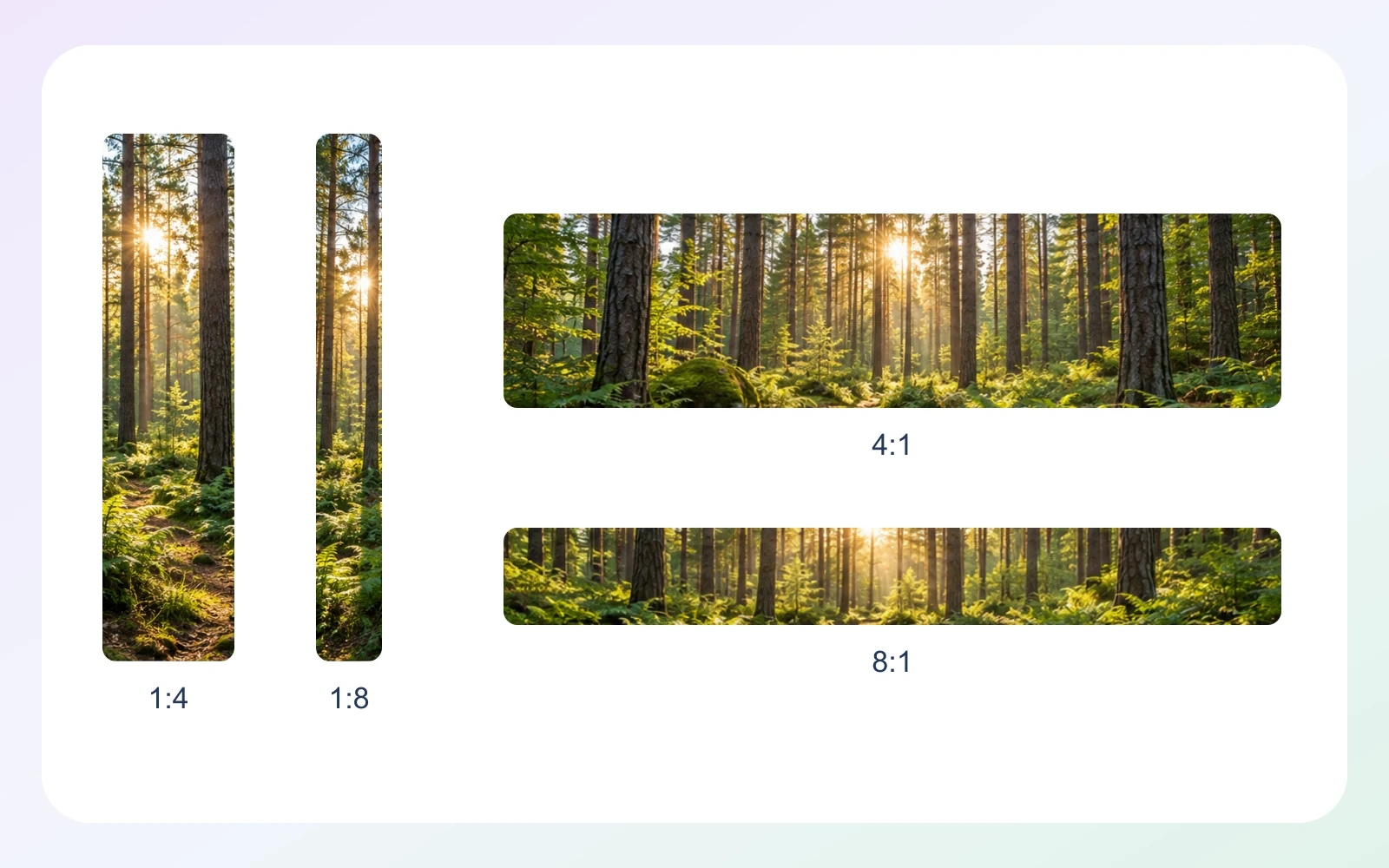 Capability illustration: Aspect ratio options