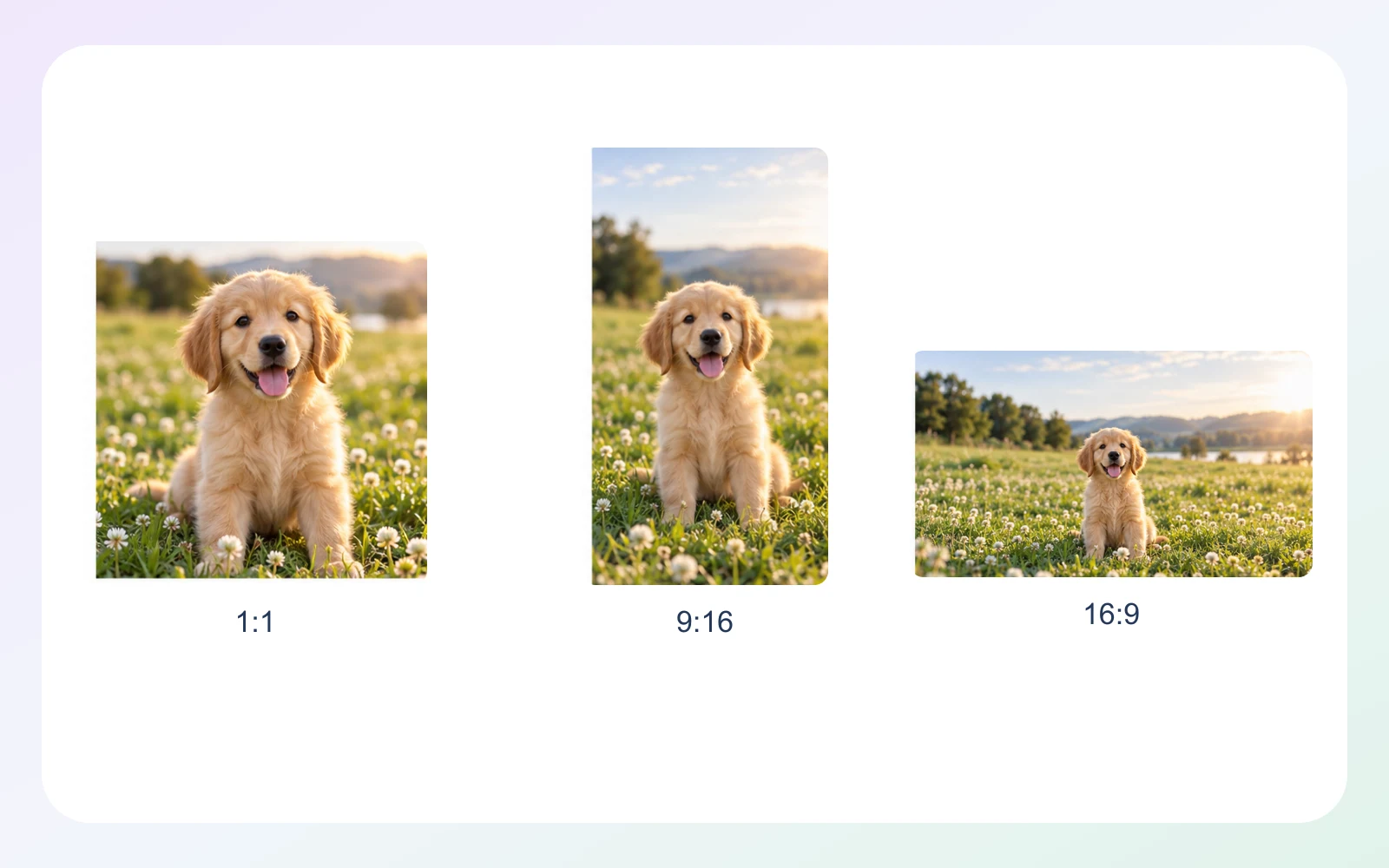 Capability illustration: Aspect ratio options